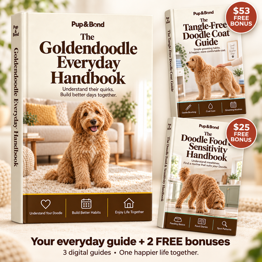 The Complete Goldendoodle Guide