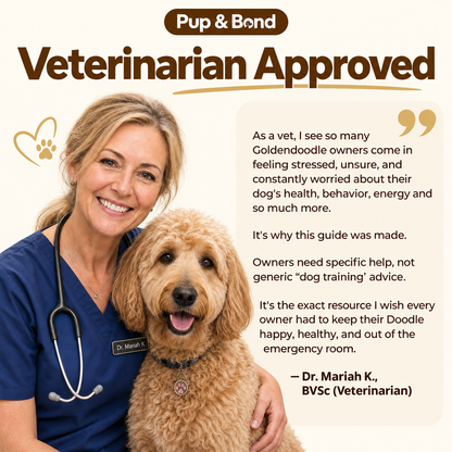 The Complete Goldendoodle Guide