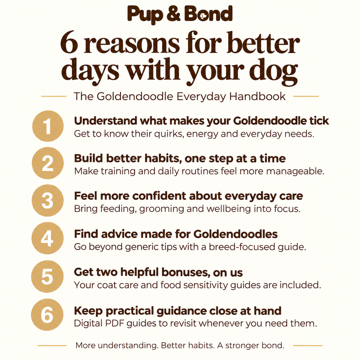 The Complete Goldendoodle Guide