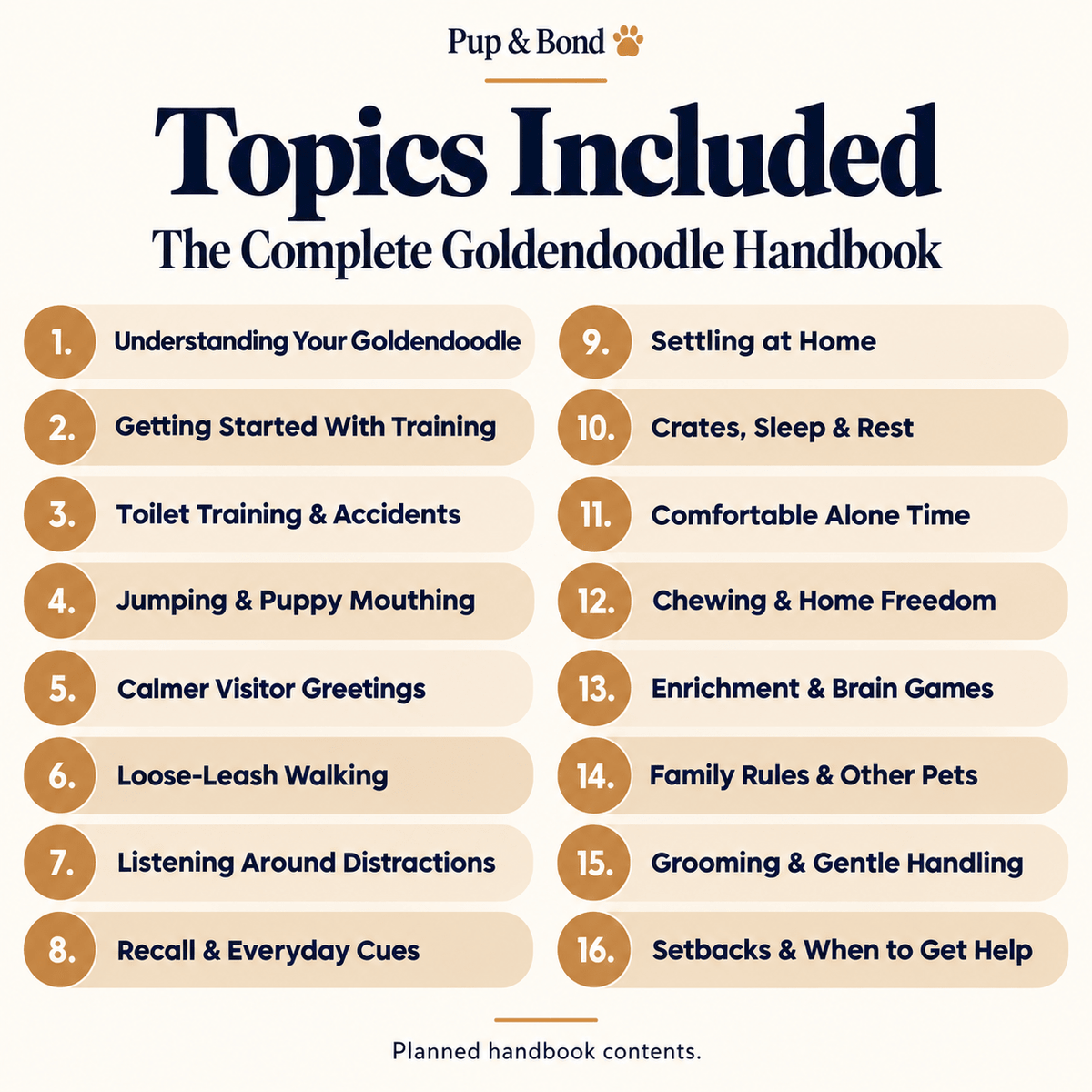 The Complete Goldendoodle Guide