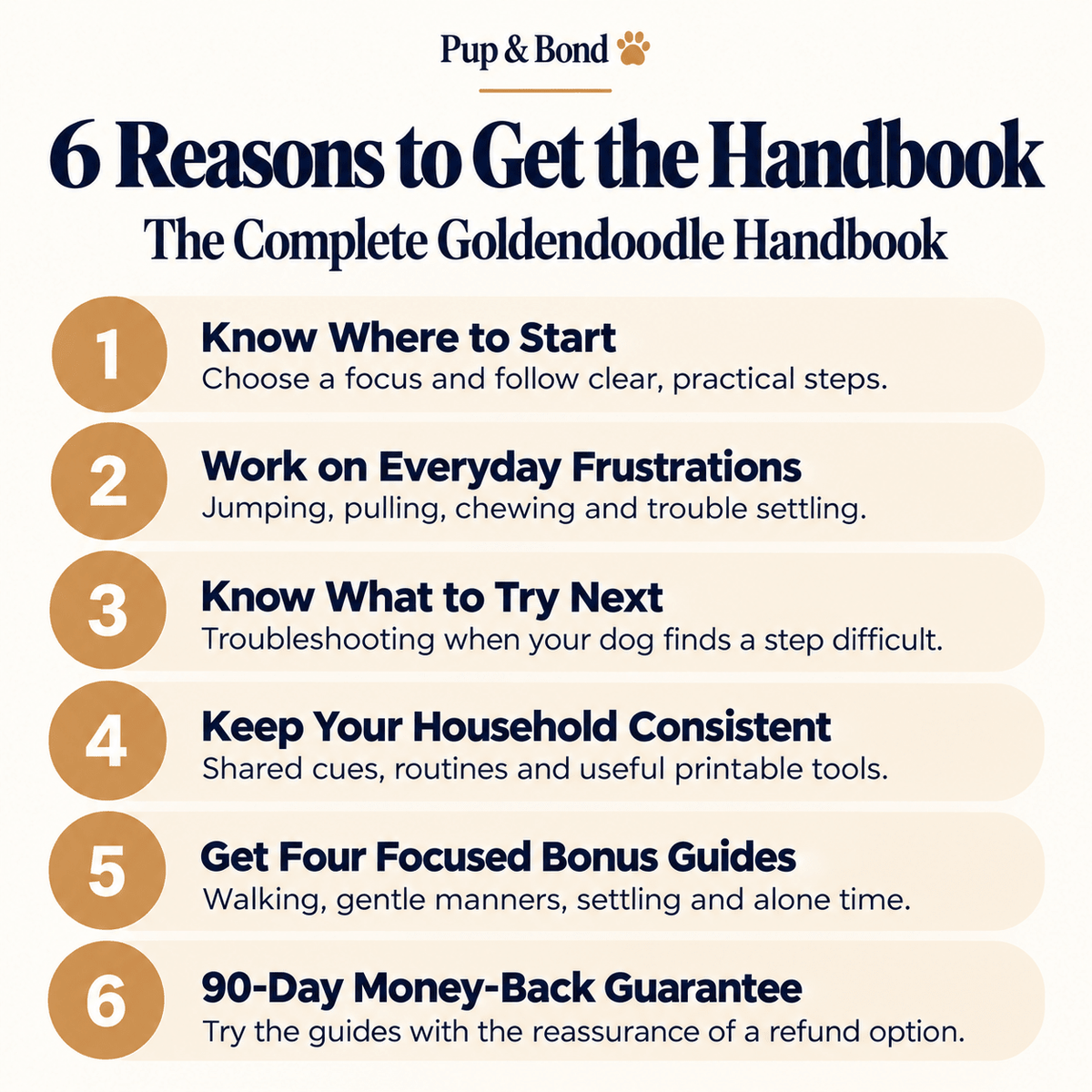 The Complete Goldendoodle Guide