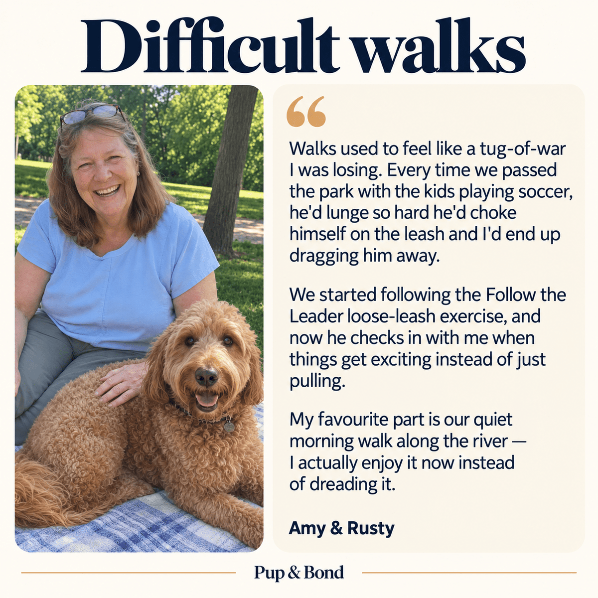 The Complete Goldendoodle Guide